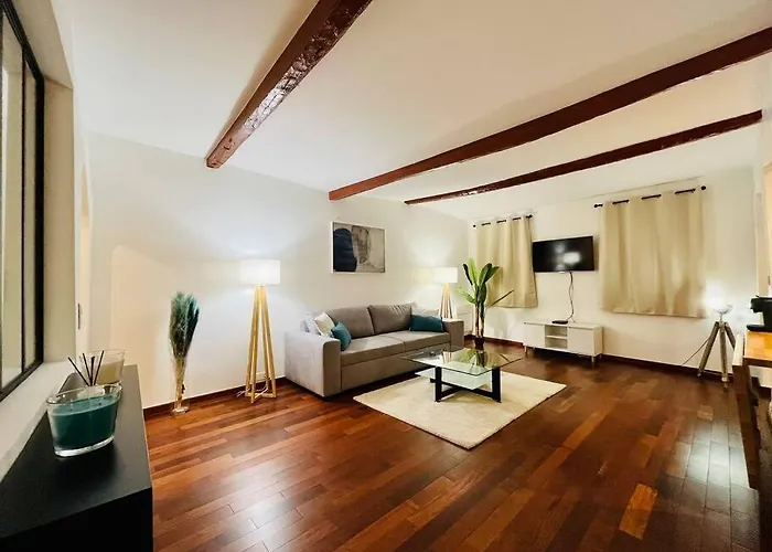 Vieux-nice : 2 Pieces Type Loft Apartment *