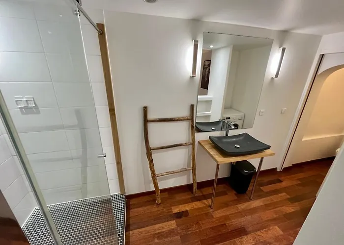 Vieux-nice : 2 Pieces Type Loft Apartment