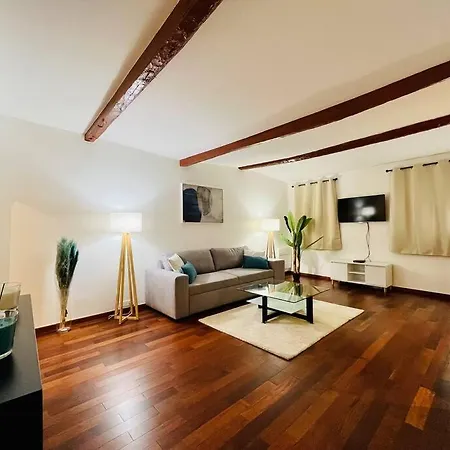 Vieux-nice : 2 Pieces Type Loft Apartment *