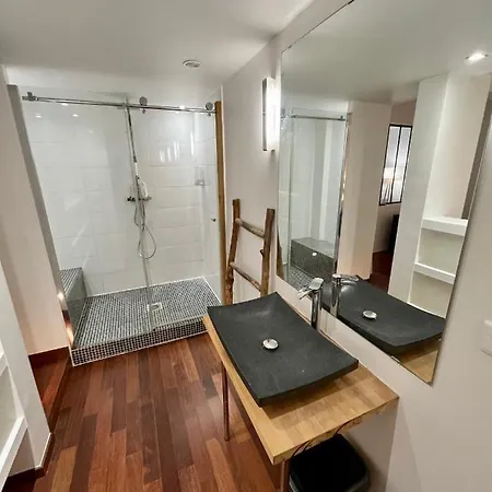 Appartamento Vieux-nice : 2 Pieces Type Loft Nizza